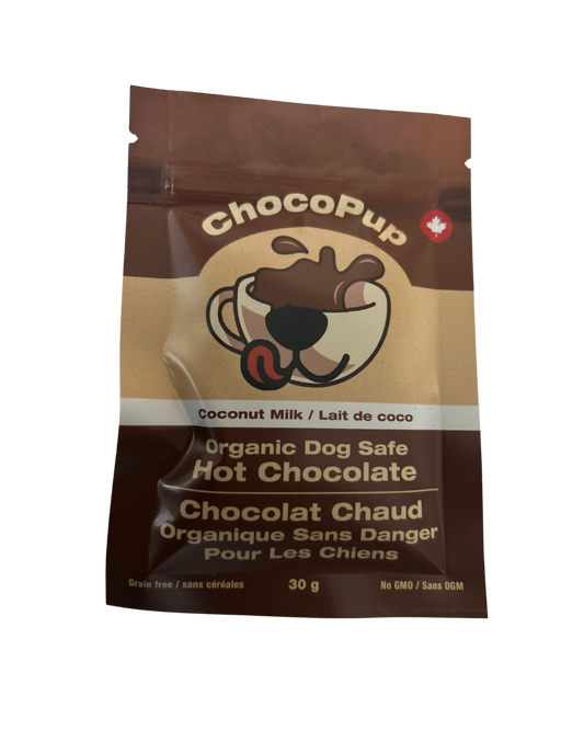 Coconut Milk Flavoured Dog Safe Hot Chocolate